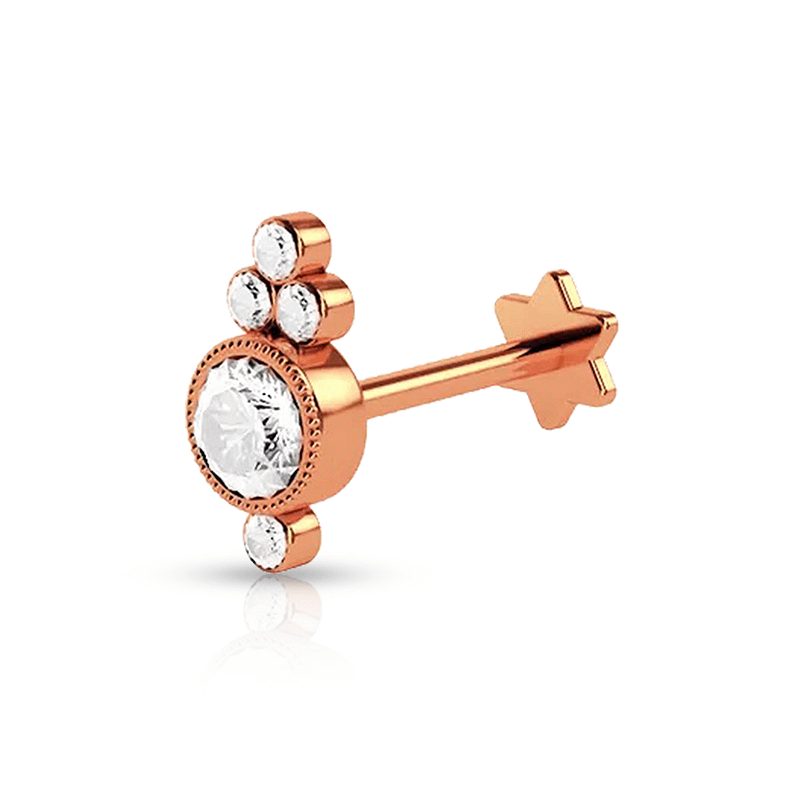Jewelry Tragus Piercing Rose gold